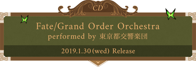 Fate/Grand Order Orchestra performed by 東京都交響楽団 2019年1月30日発売